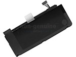 Replacement Battery for Apple MD102LL/A