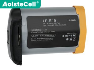 long life Canon EOS R3 battery