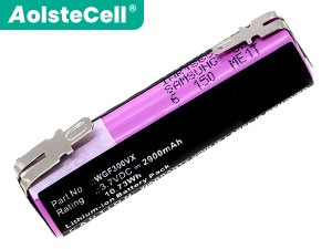 long life Karcher WV2 battery