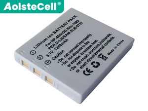 long life Minolta NP-1 battery