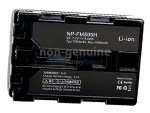 long life Sony DSLR-A100K battery