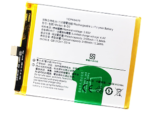long life Vivo B-D3 battery