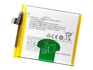 long life Vivo B-G1 battery