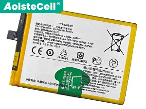 long life Vivo BA10 battery